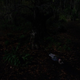 Illustration for article titled Nature Takes Charge of Defending Itself, With Violence! on Grimm: Tree People